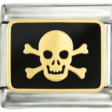 Skull Crossbones on Silver