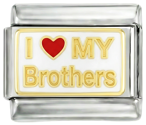 I love my brothers, on Silver - i-love-my-brother-on-silver.png