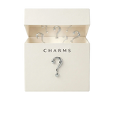 Paslaptinga dėžutė (40 Charms)